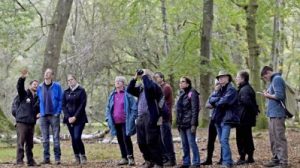 National Park Free Walks