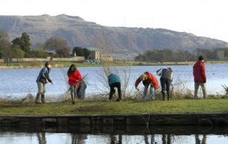 Volunteer Round Up
