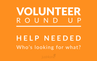 Volunteer round up volunteering ideas for single people