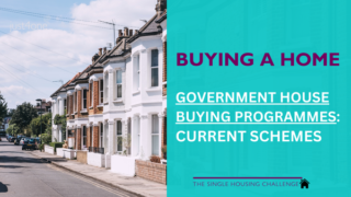 Gvt House Buying Programmes Single People