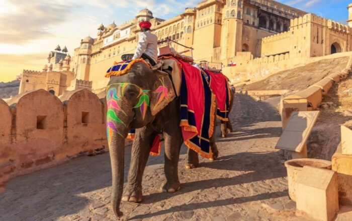 Indian elephant in colourful traditional dress at base of Jaipur temple