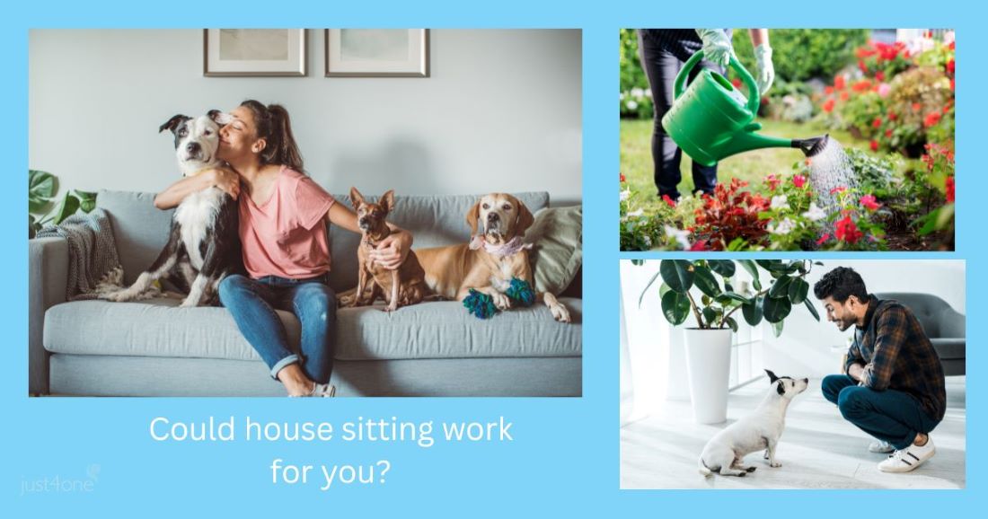 single person looking after a house and pets